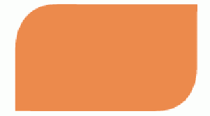 LATINA LATEX SATIN TANGARINA GALON